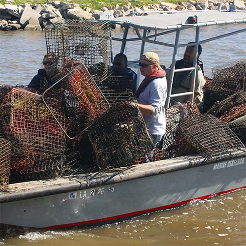 Image: Derelict Crab Trap Removal 2016