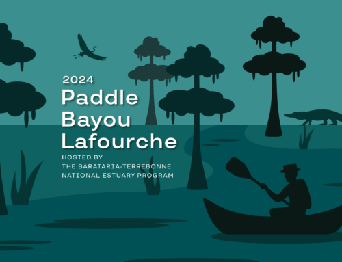Paddle Bayou Lafourche 2024