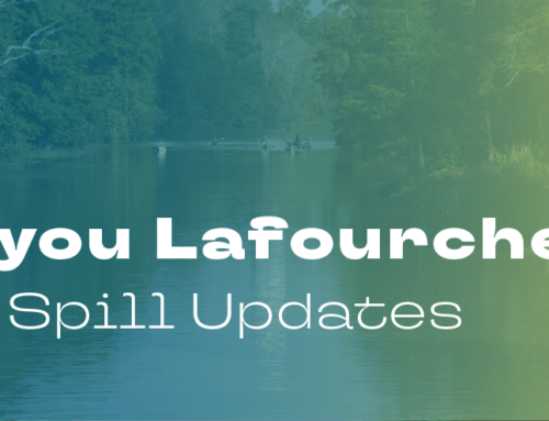 Bayou Lafourche Oil Spill