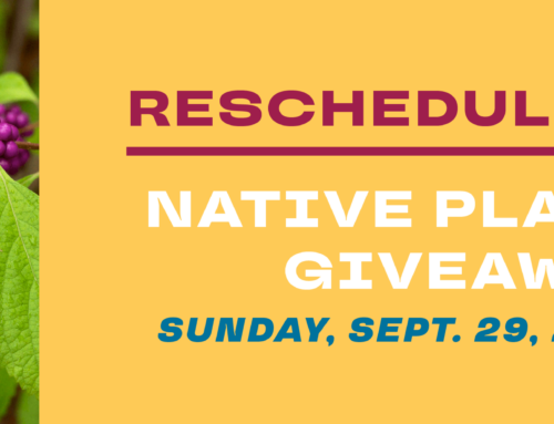 RESCHEDULED: BTNEP Native Plant Giveaway