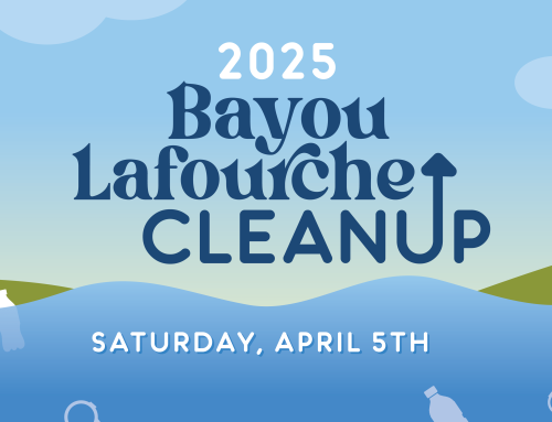 Bayou Lafourche Cleanup 2025