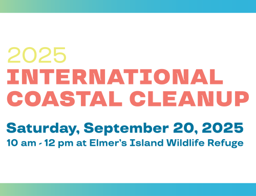 2025 International Coastal Cleanup