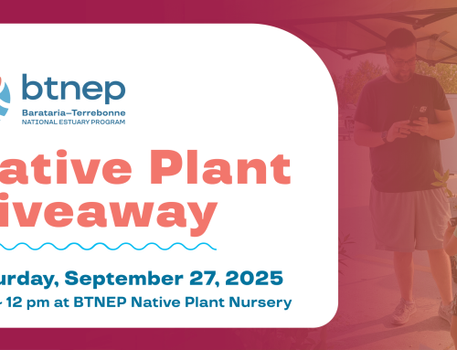 2025 BTNEP Native Plant Giveaway