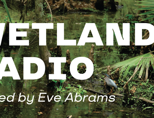 Wetlands Radio Show