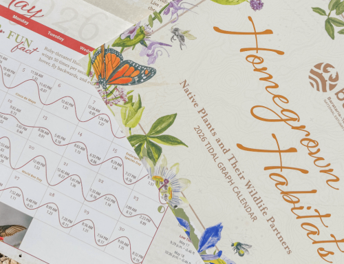 2026 Tidal Graph Calendar