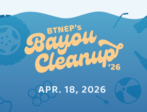 BTNEP Bayou Cleanup