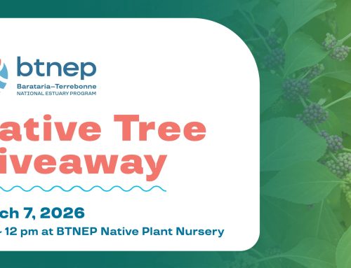 BTNEP Native Tree Giveaway