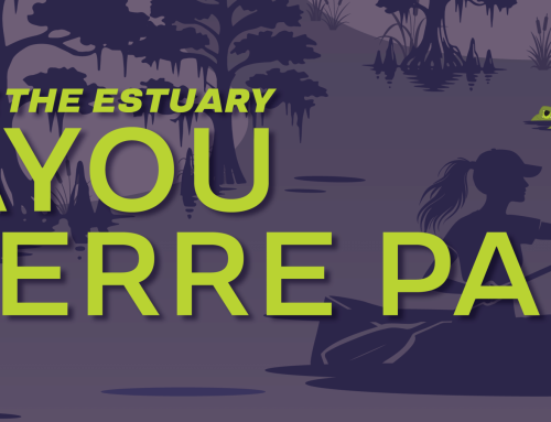2026 Paddle the Estuary: Bayou Pierre Part – Halloween Edition